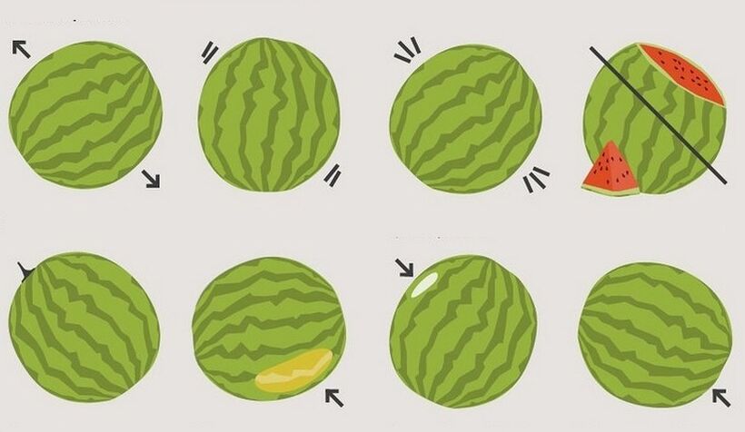Чӣ тавр интихоб кардани тарбуз